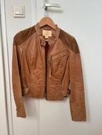 Levis leather jacket, Maat 38/40 (M), Zwart, Ophalen of Verzenden, Jasje