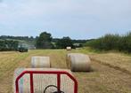 Grote ronde hooibalen paardenhooi te koop in Zuid Limburg, Dieren en Toebehoren, Dierenvoeding, Ophalen of Verzenden, Vee