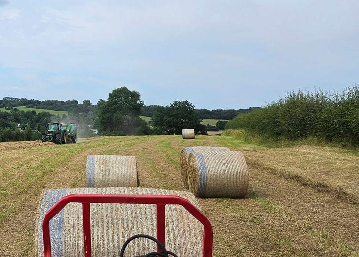 Grote ronde hooibalen paardenhooi te koop in Zuid Limburg, Dieren en Toebehoren, Dierenvoeding, Vee, Ophalen of Verzenden