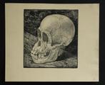 Mooie gave litho apenschedel A. Wirtz. Anto Wirtz, 1872 _ 19, Ophalen of Verzenden
