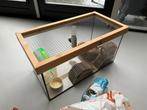 Glazen hamsterkooi terranium met deksel 30x30x60cm, Dieren en Toebehoren, Minder dan 60 cm, Kooi, Minder dan 75 cm, Ophalen of Verzenden