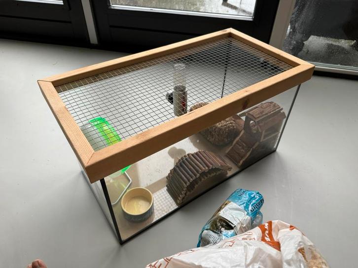Glazen hamsterkooi terranium met deksel 30x30x60cm, Dieren en Toebehoren, Knaagdieren en Konijnen | Hokken en Kooien, Zo goed als nieuw