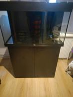 Mooie 125 liter aqaurium van Juwel., Dieren en Toebehoren, Ophalen, Leeg aquarium