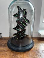 Vlinders in stolp, Huis en Inrichting, Woonaccessoires | Stolpen, Ophalen