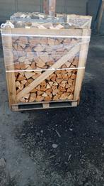 Brandhout -Beuk -Eik -Berk - Groothandel, 6 m³ of meer, Ophalen, Beukenhout, Blokken