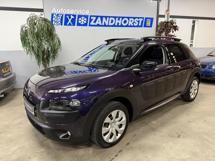Citroën C4 Cactus 1.2 PureTech Business Plus (bj 2016), Auto's, Citroën, Bedrijf, Te koop, C4 Cactus, ABS, Airbags, Airconditioning