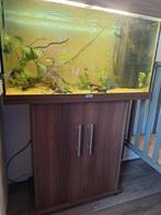 Juwel 125 rio voor 50 euro, Ophalen, Zo goed als nieuw, Leeg aquarium