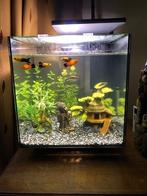 Superfish Qubiq led 30, Dieren en Toebehoren, Vissen | Aquaria en Toebehoren, Ophalen, Zo goed als nieuw, Leeg aquarium