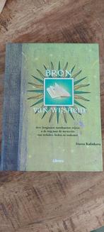 Bron van Wijsheid - Jungiaanse Tarotkaarten, Ophalen of Verzenden, Zo goed als nieuw, Tarot of Kaarten leggen, Ivana Kalinkova