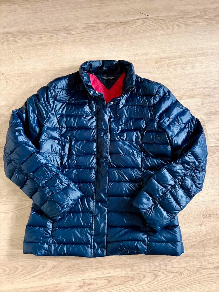 Prachtige Tommy Hilfiger damesjas, Kleding | Dames, Jassen | Winter, Zo goed als nieuw, Blauw, Ophalen of Verzenden
