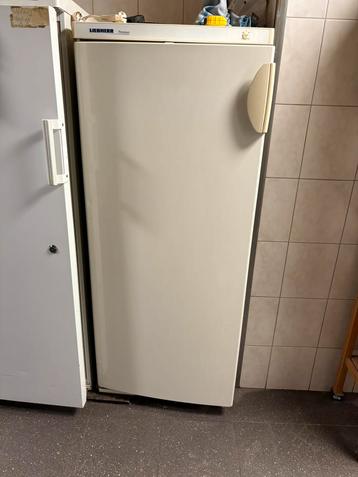 Liebherr Koelkast - Betrouwbaar & Ruim beschikbaar voor biedingen