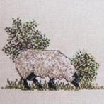 Borduurpatroon  Schaap in de wei   nr 9942, Hobby en Vrije tijd, Borduren en Borduurmachines, Verzenden, Nieuw, Handborduren, Patroon