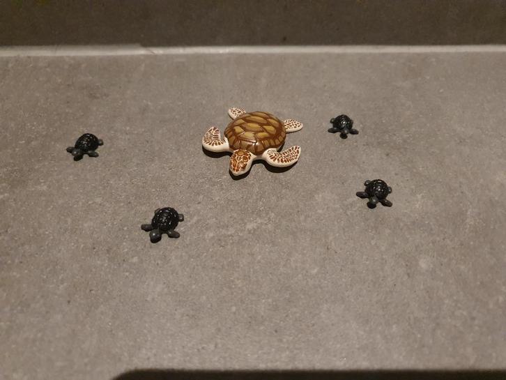Playmobil 9071 Schildpadden, Kinderen en Baby's, Speelgoed | Playmobil, Zo goed als nieuw, Complete set, Ophalen of Verzenden