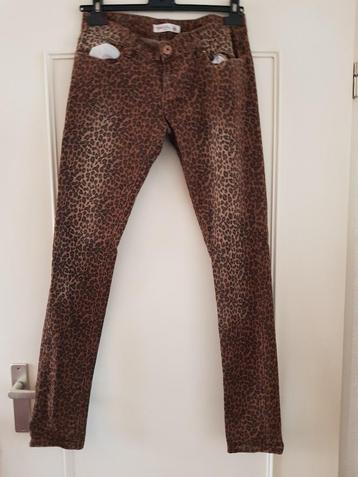 @ Leopardprint broek maat 38 beschikbaar voor biedingen