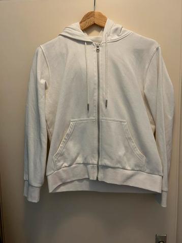Hoodie/ vest beschikbaar voor biedingen