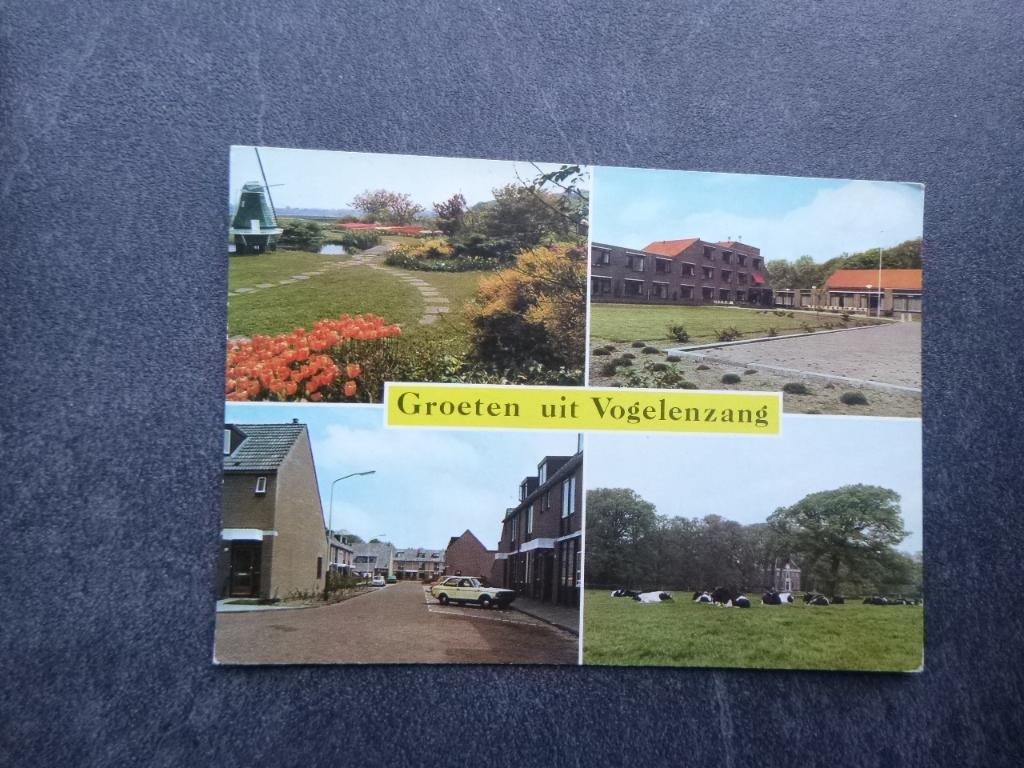 Vogelenzang, groeten uit 1978, Verzenden, 1960 tot 1980, Ongelopen, Noord-Brabant