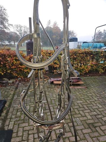 Zgan stang&trends hoofdstel. beschikbaar voor biedingen