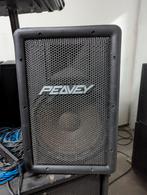 ✅Peavey PR1003 topkasten, Audio, Tv en Foto, Luidsprekers, Overige merken, Gebruikt, Info@verbuntaudio.nl, 120 watt of meer