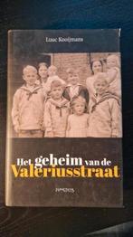 Luuc Kooijmans - Het geheim van de Valeriusstraat, Ophalen of Verzenden, Zo goed als nieuw, Luuc Kooijmans