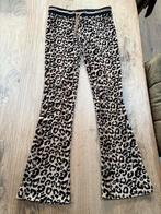 Persival flared broek maat 152, Ophalen of Verzenden, Persival, Meisje, Broek