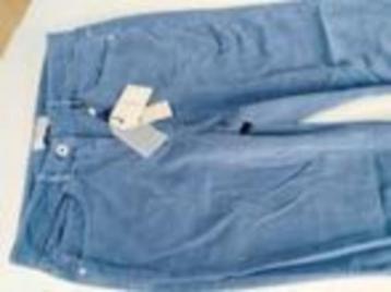 Broek van Sandwich 38 beschikbaar voor biedingen