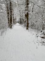 Gastouder aan huis gezocht!, Diensten en Vakmensen, Oppas aan huis