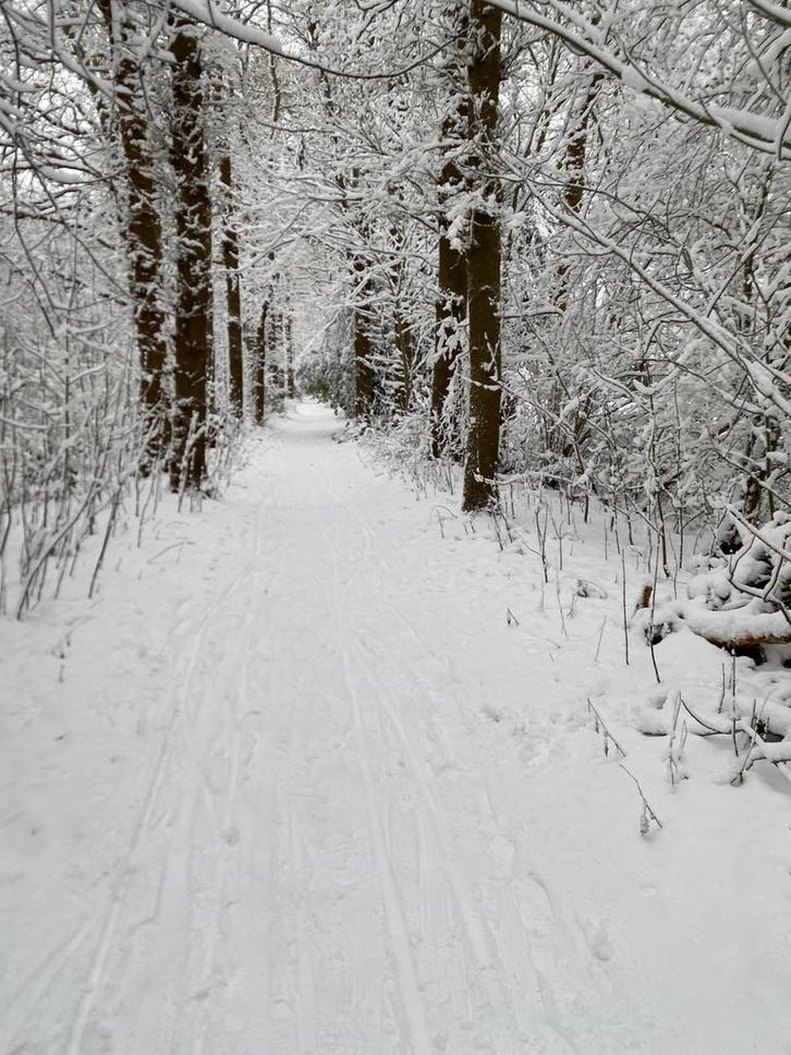 Gastouder aan huis gezocht!, Diensten en Vakmensen, Oppas en Kinderopvang, Oppas aan huis