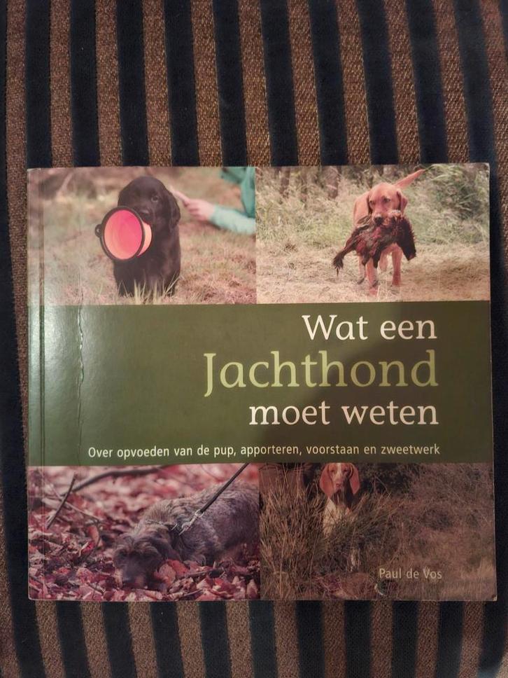 Wat een Jachthond moet weten - Paul de Vos, Boeken, Historische romans, Gelezen, Ophalen of Verzenden
