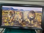 Schilderij prent tijger leeuw jaguar, Ophalen of Verzenden