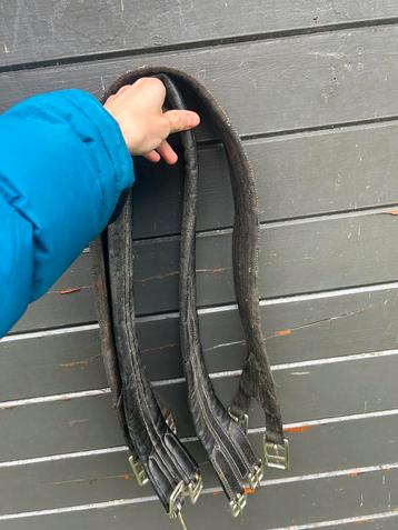 Paarden singels te ruil/koop beschikbaar voor biedingen