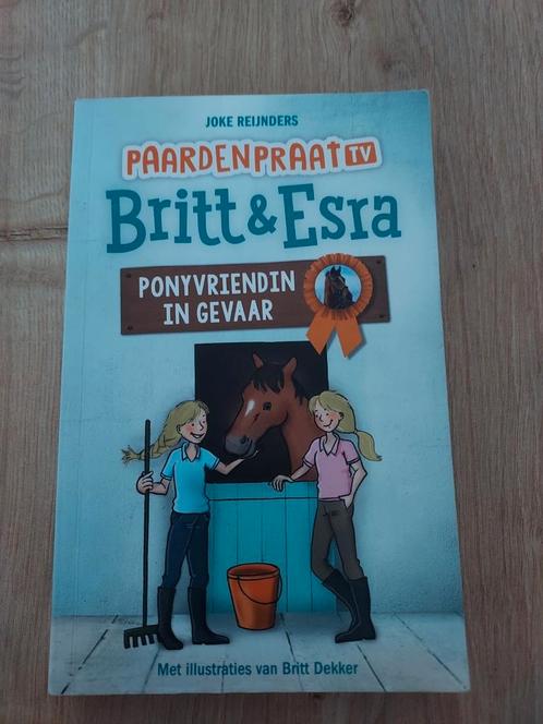Joke Reijnders - Ponyvriendin in gevaar, Boeken, Kinderboeken | Jeugd | 10 tot 12 jaar, Zo goed als nieuw, Ophalen