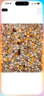 Voedersvoeders, Dieren en Toebehoren, Dierenvoeding, Ophalen, Vogel