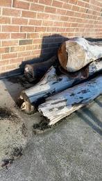 Brandhout ongeveer 3 kuub ongezaagd, 3 tot 6 m³, Ophalen, Essenhout, Stammen