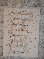 Schilderij schelpen Zeeland, Ophalen of Verzenden