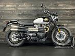Triumph SCRAMBLER 900 ICON EDITION (bj 2025), Motoren, Bedrijf, 900 cc, Meer dan 35 kW, Toermotor
