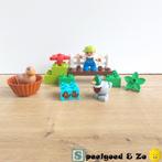 🦆 ZGAN | Lego Duplo Bos Eenden | compleet | 10581, Complete set, Duplo, Ophalen of Verzenden, Zo goed als nieuw