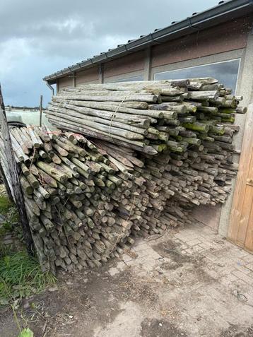 Fruitboom/boompalen beschikbaar voor biedingen