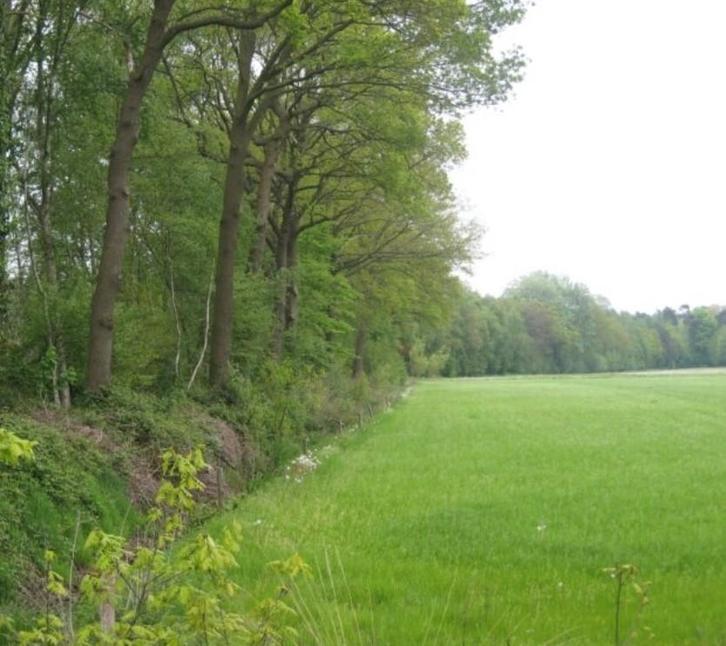 Hout gezocht haardhout zelf zagen, Tuin en Terras, Haardhout, Blokken, Ophalen