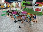 Playmobiel paardenmanege (Sinttip), Kinderen en Baby's, Speelgoed | Playmobil, Ophalen of Verzenden
