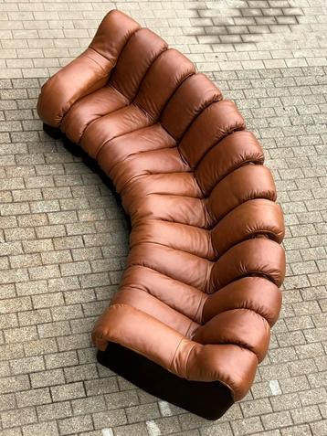De Sede Ds600 Snake Tatzelwurm, 12 elementen. Nieuwstaat! beschikbaar voor biedingen