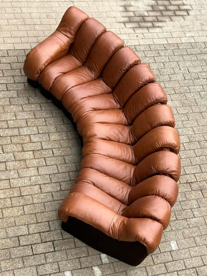 De Sede Ds600 Snake Tatzelwurm, 12 elementen. Nieuwstaat!, Huis en Inrichting, Fauteuils, Ophalen of Verzenden