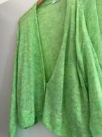 Trui met vest, Kleding | Dames, Truien en Vesten, Verzenden, Maat 46/48 (XL) of groter, Nieuw, Geen merk