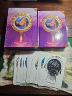 Sjamaans Spiegel Orakel - Roelien de Lange, Boeken, Ophalen of Verzenden, Zo goed als nieuw, Spiritualiteit algemeen, Roelien de Lange