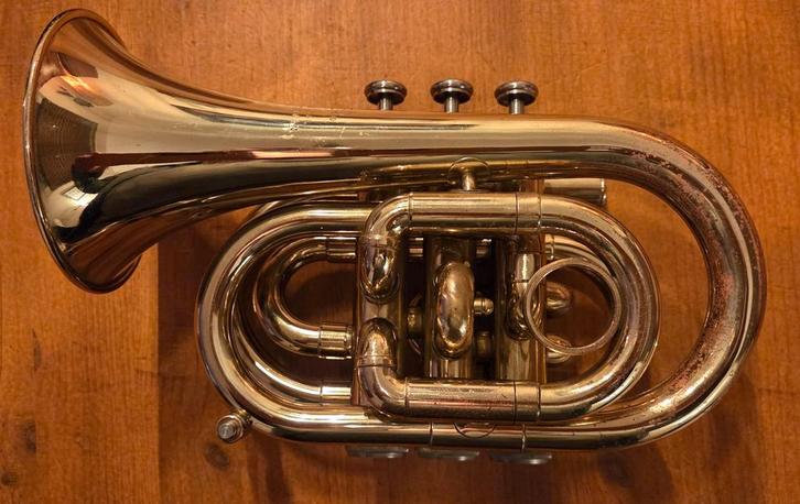 Jupiter pocket trompet jpt-416, Muziek en Instrumenten, Blaasinstrumenten | Trompetten, Gebruikt, Bes-trompet, Met koffer, Ophalen of Verzenden