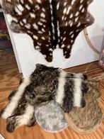Woondecoratie herst/winter, Huis en Inrichting, Ophalen of Verzenden