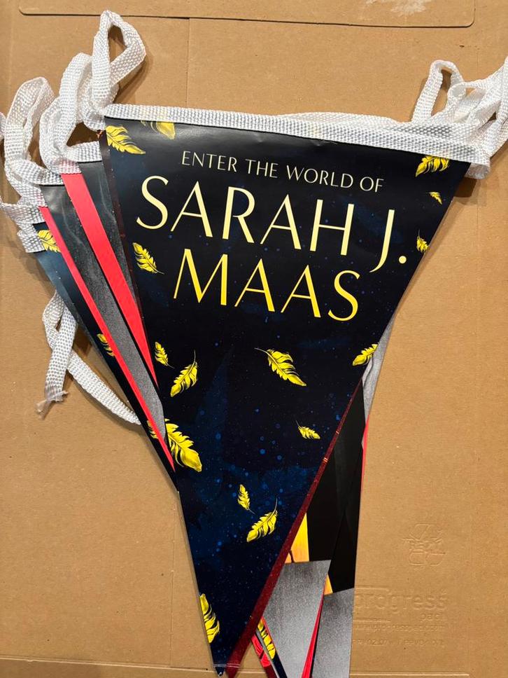 Vlaggenlijn slingers vlaggetjes Sarah J Maas, Diversen, Vlaggen en Wimpels, Nieuw, Ophalen of Verzenden