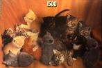 Puzzel 1500 stukjes poes poezen kittens katten kat kitten, Ophalen of Verzenden, 500 t/m 1500 stukjes, Zo goed als nieuw, Legpuzzel