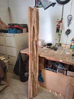 Wortelboom stronk, Ophalen of Verzenden