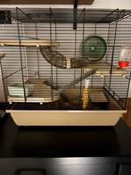 Hamster incl kooi, Kooi, Minder dan 75 cm, Zo goed als nieuw, Hamster