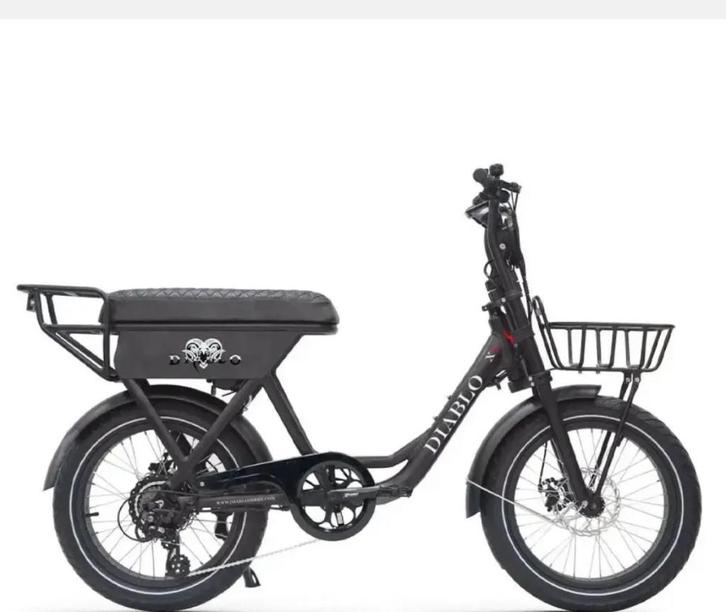 Fatbike, Fietsen en Brommers, Elektrische fietsen, Gebruikt, Overige merken, 59 cm of meer, Minder dan 30 km per accu, Ophalen